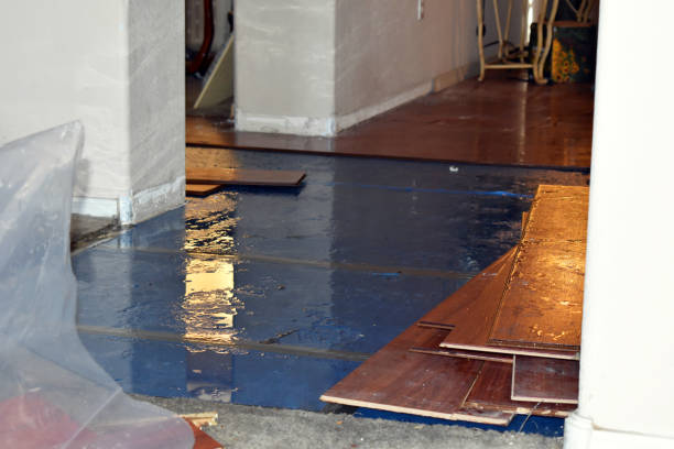 Professional Flood Damage Restoration technician working in Tulia, TX